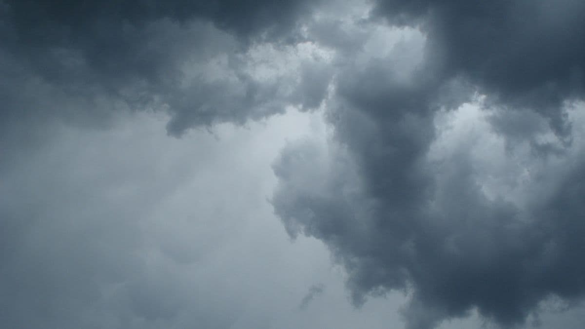 Western disturbance brings rain, hail and cold to Rajasthan